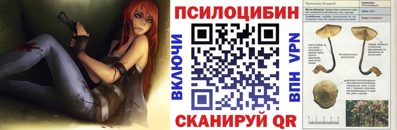 Галлюциногенные грибы Cubensis  дарнет шоп  Каменск-Уральский 